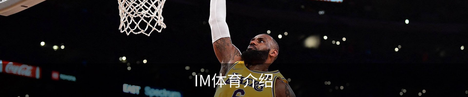 IM体育介绍
